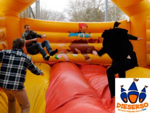 alquiler de hinchables para fiestas
