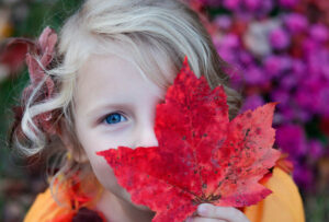 Fiestas con hinchables en noviembre en España con Dieserso
