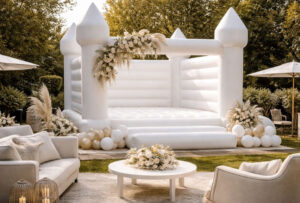 Hinchables aesthetic y minimalistas con Dieserso